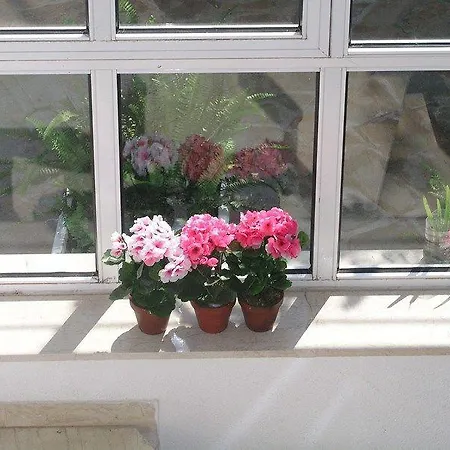 Blue Paradise Appart hôtel 4*